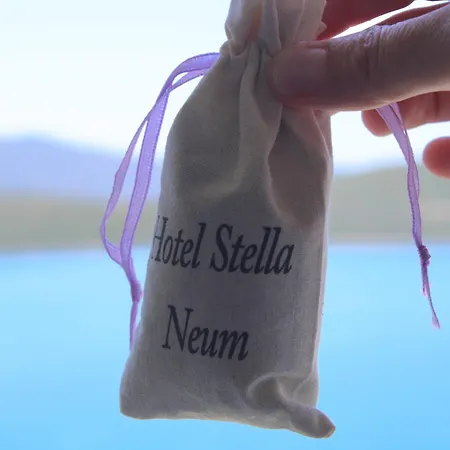 Stella 호텔